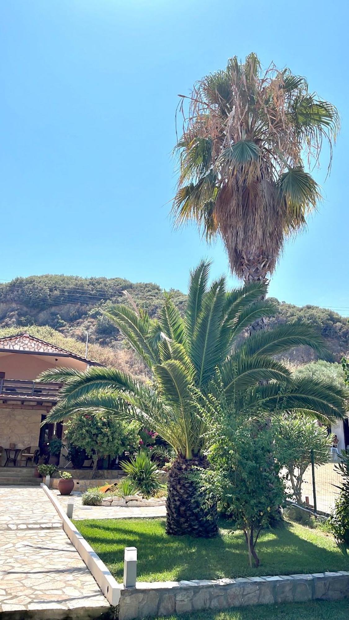 Palma Beach House ซาร์ตี ภายนอก รูปภาพ